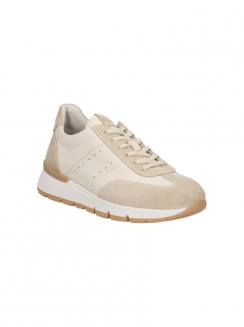 SCARPA UOMO PELLE/CAMOSCIO